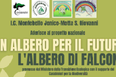 albero-per-il-futuro